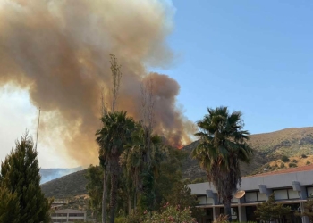 Muğla'da yangın ile ilgili 6 tutuklama