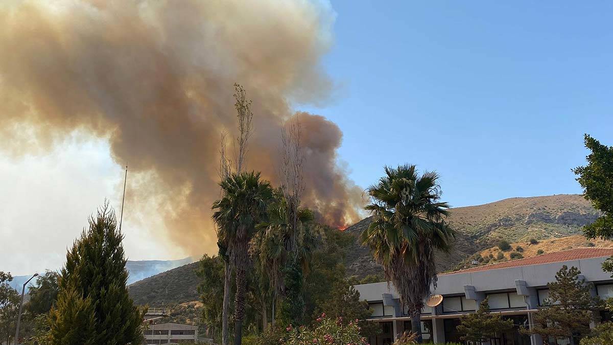 Muğla'da yangın ile ilgili 6 tutuklama