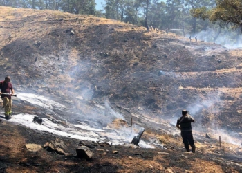 Nazilli'de çıkan orman yangını söndürüldü