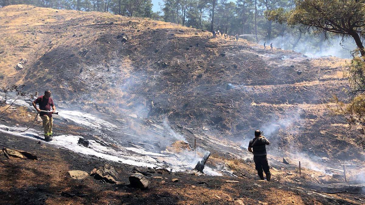 Nazilli'de çıkan orman yangını söndürüldü