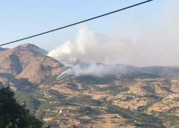 OGM: Tunceli ve Bingöl yangınlarına müdahale sürüyor