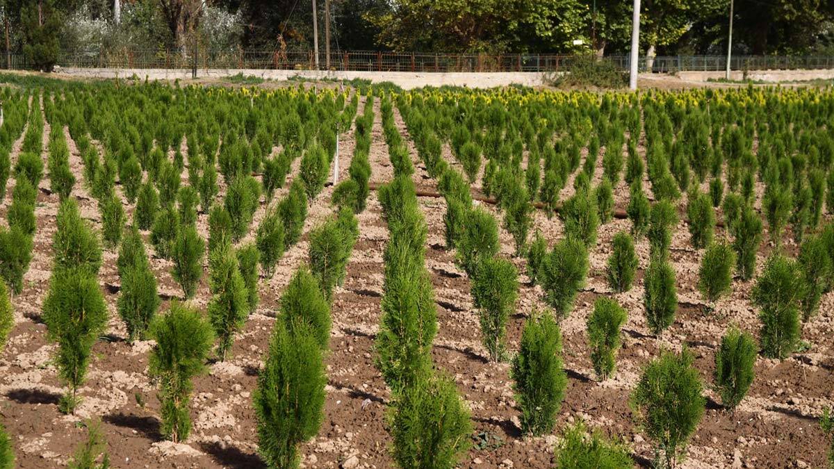 OGM'den Geleceğe Nefes kampanyası