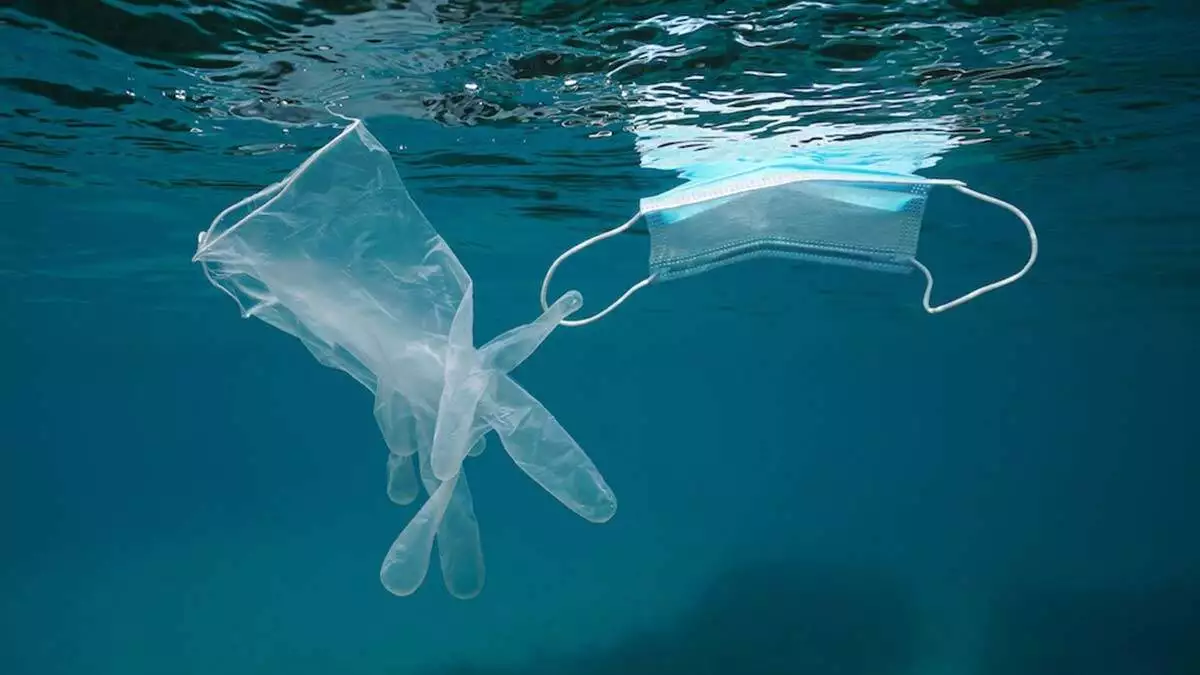 Okyanuslarda yaklasik 16 milyar maske 2 - dış haberler - haberton