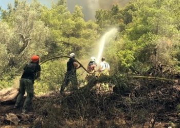 Orman Bölge Müdürü Marmaris yangınını anlattı