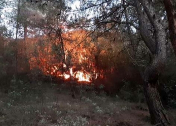 Orman yangınları paylaşımlarına soruşturma