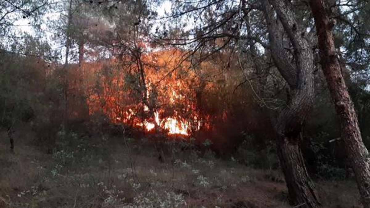 Orman yangınları paylaşımlarına soruşturma