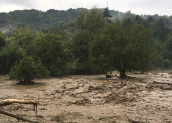 Sağlık Bakanı: Selde 1 kişi kayıp 17 kişi etkilendi
