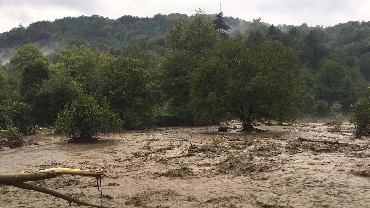 Sağlık Bakanı: Selde 1 kişi kayıp 17 kişi etkilendi