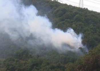 Sarıyer'de orman yangını çıktı
