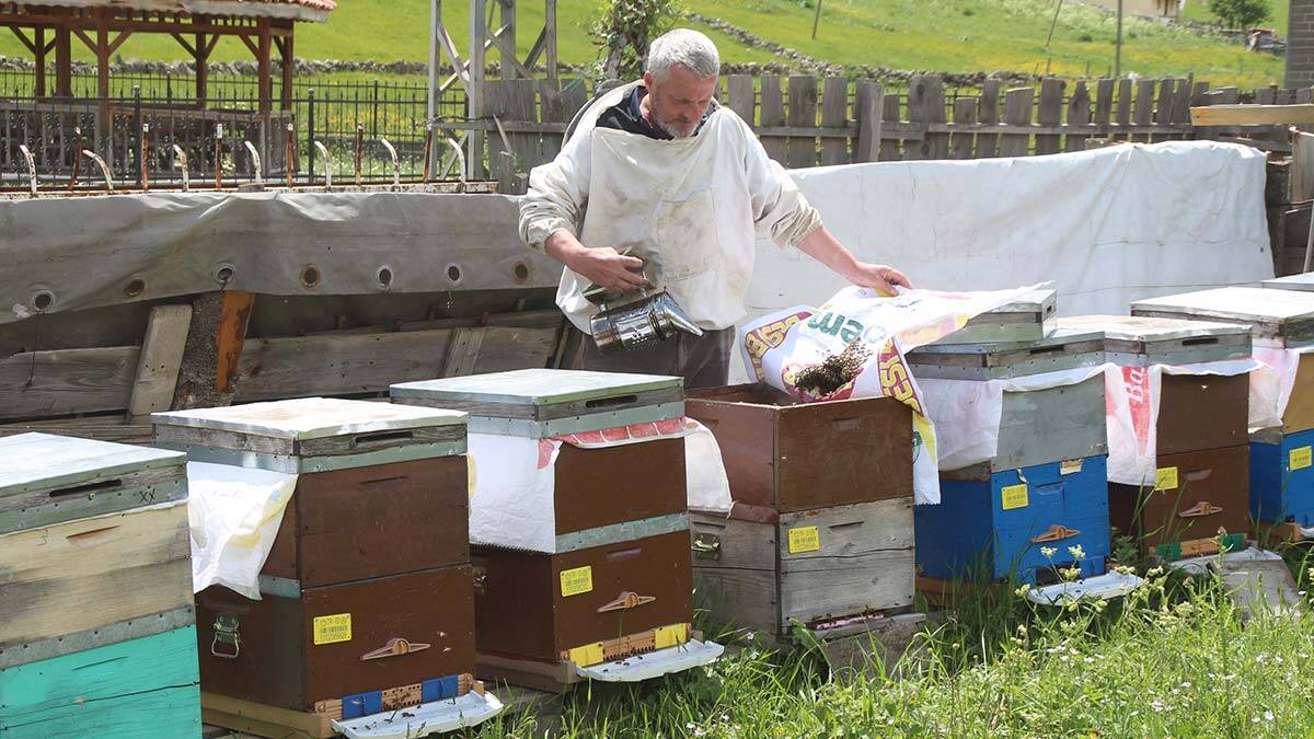 Satış fiyatı 1200 TL olan Anzer balına 1 ton sipariş