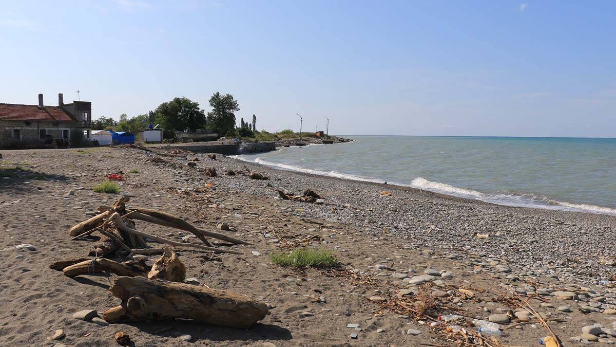 Selle gelen tomruklar balıkçıları tedirgin ediyor_