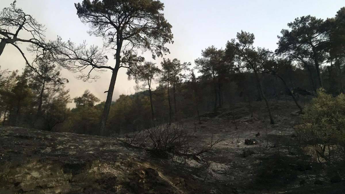 Seydikemer yangını kısmen kontrol altına alındı