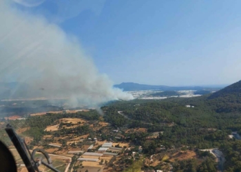 Seydikemer yangınında 20 hektar alan zarar gördü