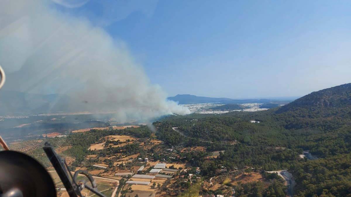 Seydikemer yangınında 20 hektar alan zarar gördü