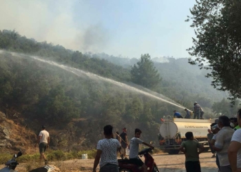Seydikemer'de iki mahallede yangın kontrol altında_