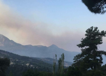 Seydikemer'de yangında alevler kontrol altına alındı