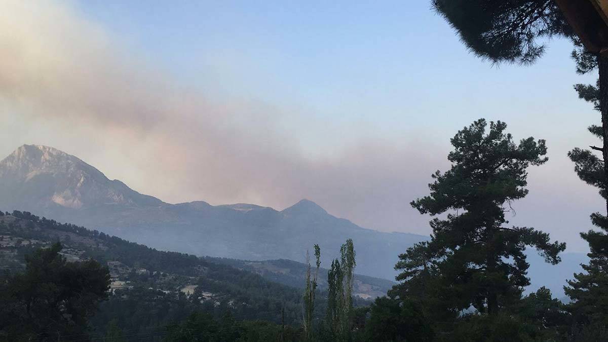 Seydikemer'de yangında alevler kontrol altına alındı