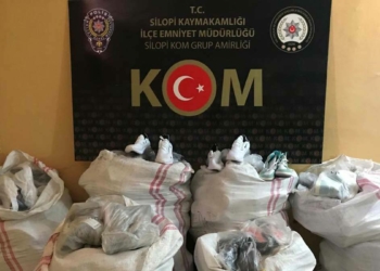 Şırnak'ta operasyonlarda 40 gözaltı