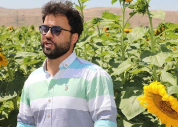 Sivaslı tenor ayçiçeği tarlasında arya söyledi