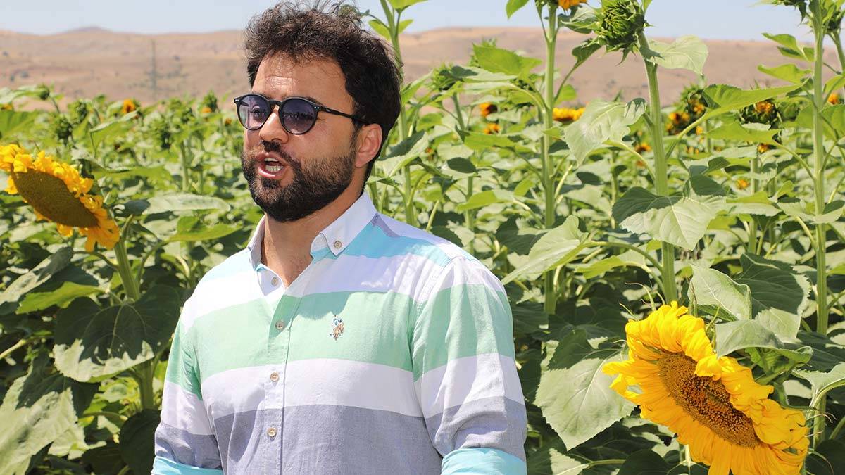 Sivaslı tenor ayçiçeği tarlasında arya söyledi