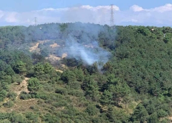 Sultangazi'de orman yangını çıktı