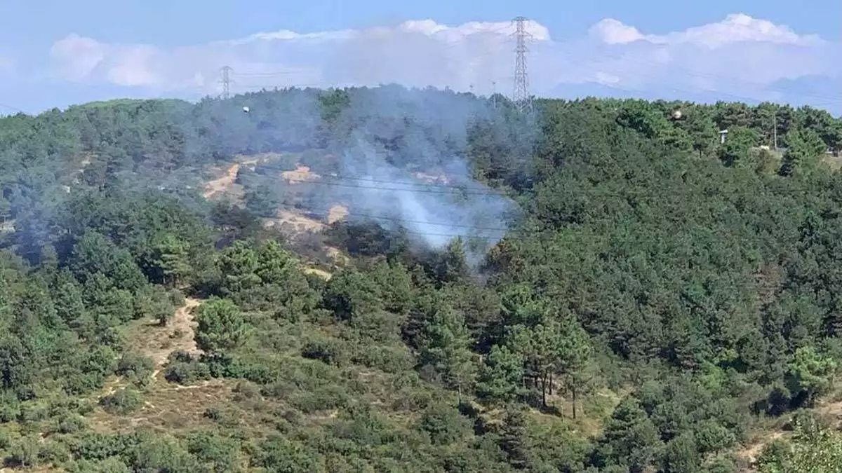 Sultangazi'de orman yangını çıktı