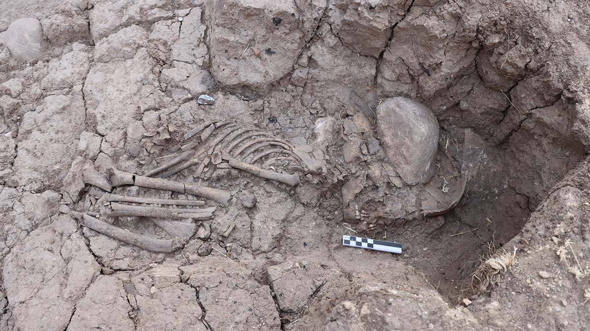 Tozkoparan hoyugunde 5 bin 500 yillik cocuk iskeleti 2 - kültür ve sanat - haberton