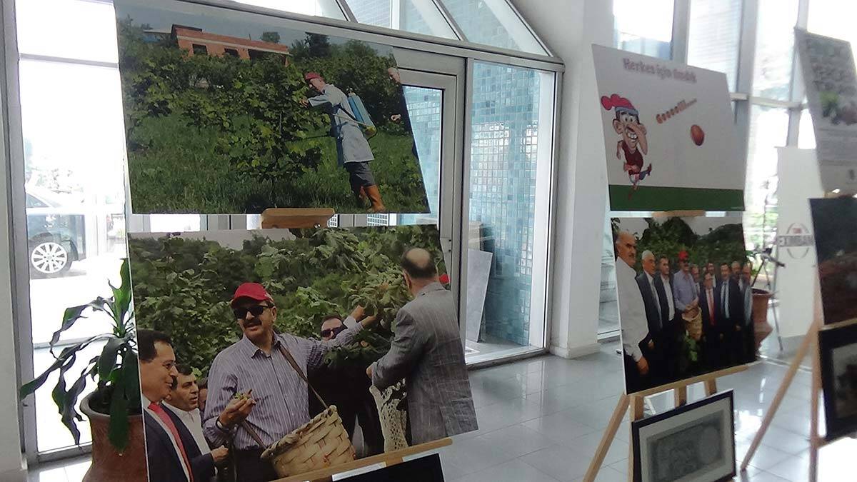 Trabzon'da Dünya Fındık Haftası kutlaması