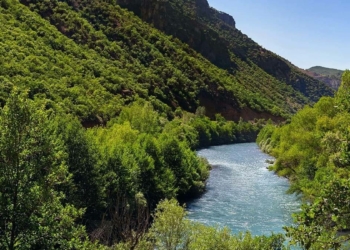 Tunceli'de ormanlara giriş yasaklandı
