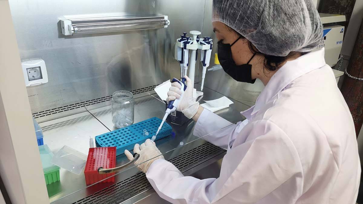 Türk bilim insanları Alzheimer riskini ölçen kit geliştirdi_2