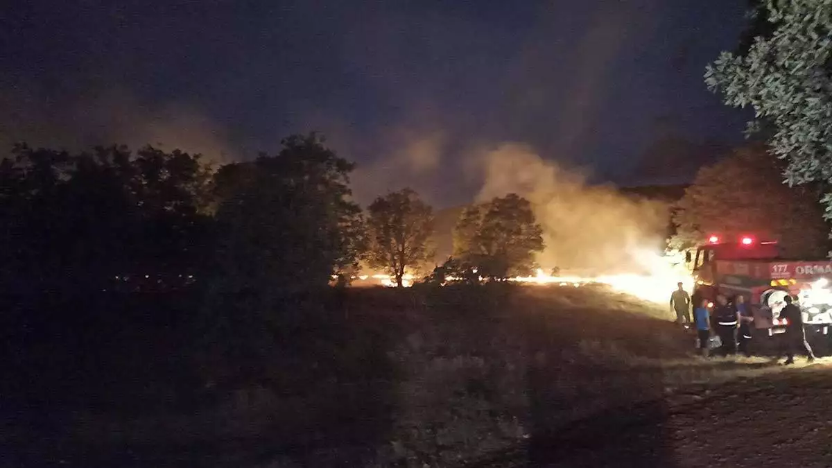 Uşak'ta orman yangını 3 saatte söndürüldü