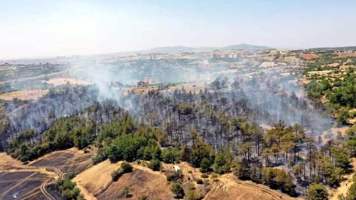 Uşak'ta yerleşim yerlerine yakın arazide yangın