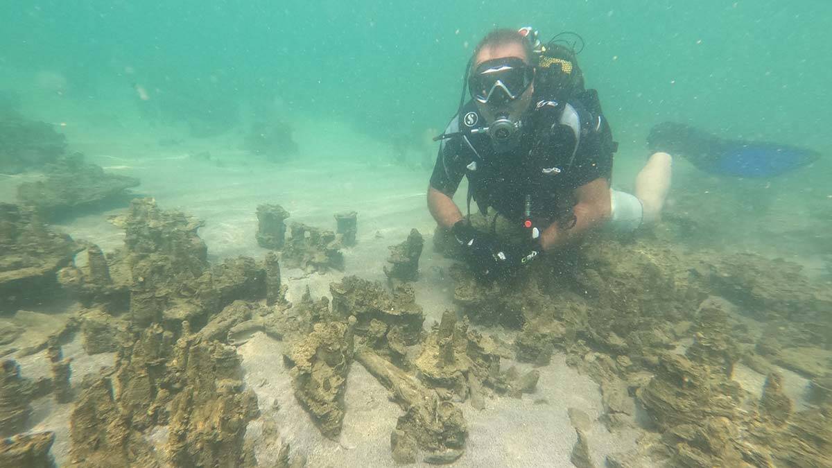 Van Gölü'nde mikrobiyalitler görüntülendi