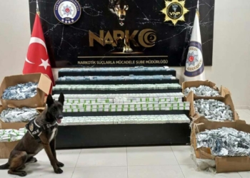 Van'da uyuşturucu operasyonu: 1 kişi gözaltında