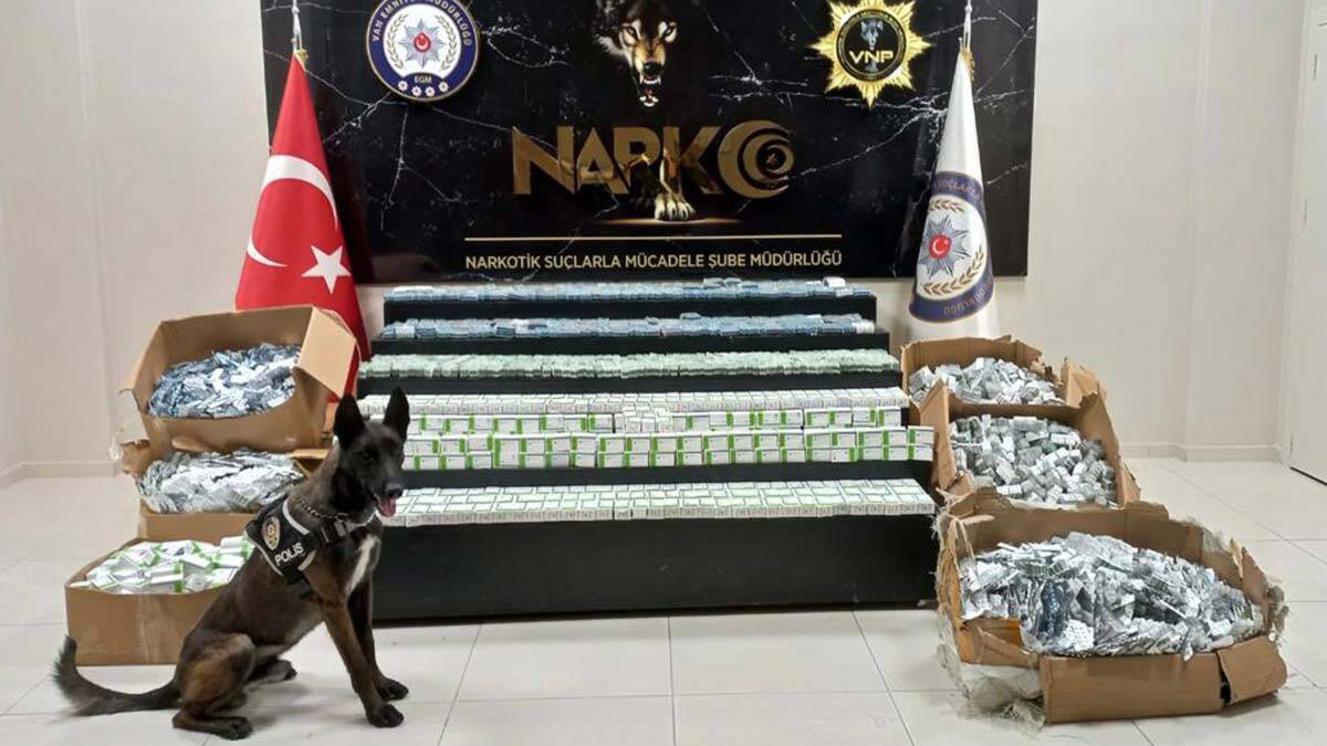 Van'da uyuşturucu operasyonu: 1 kişi gözaltında