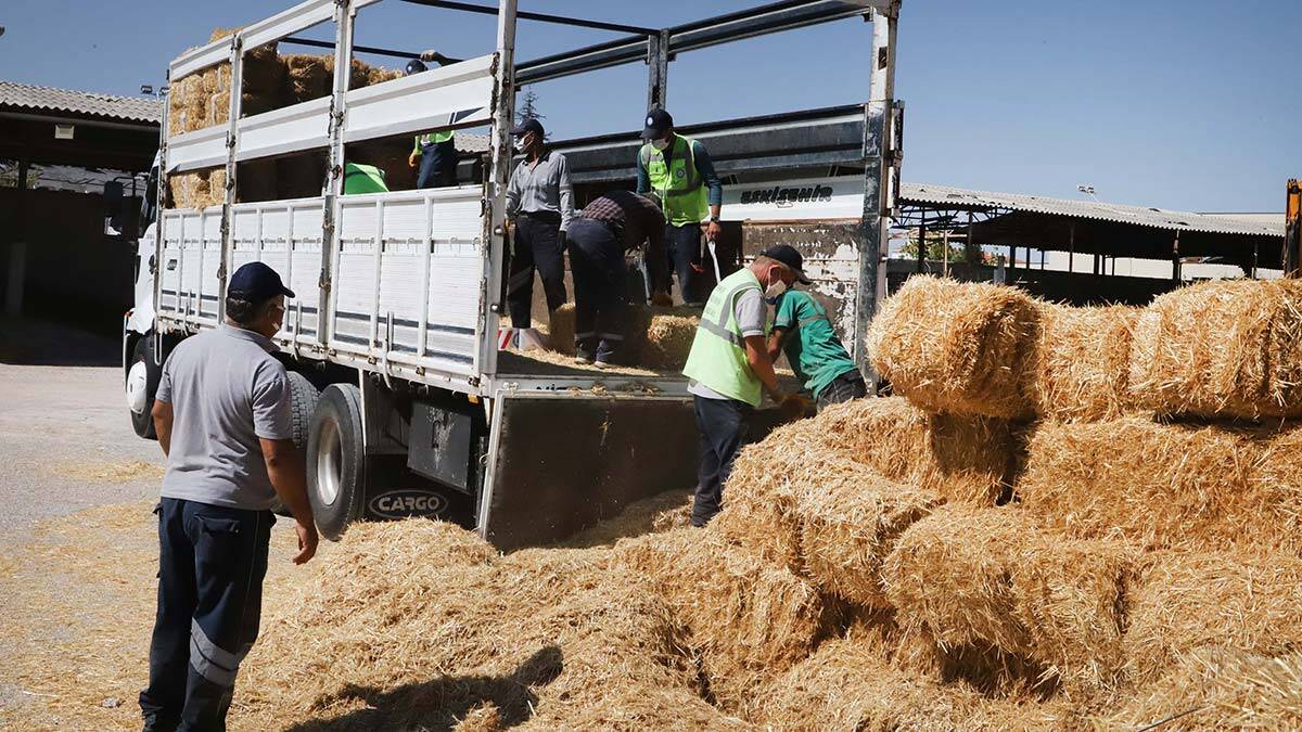 Yangın bölgelerine Eskişehir'den yem desteği