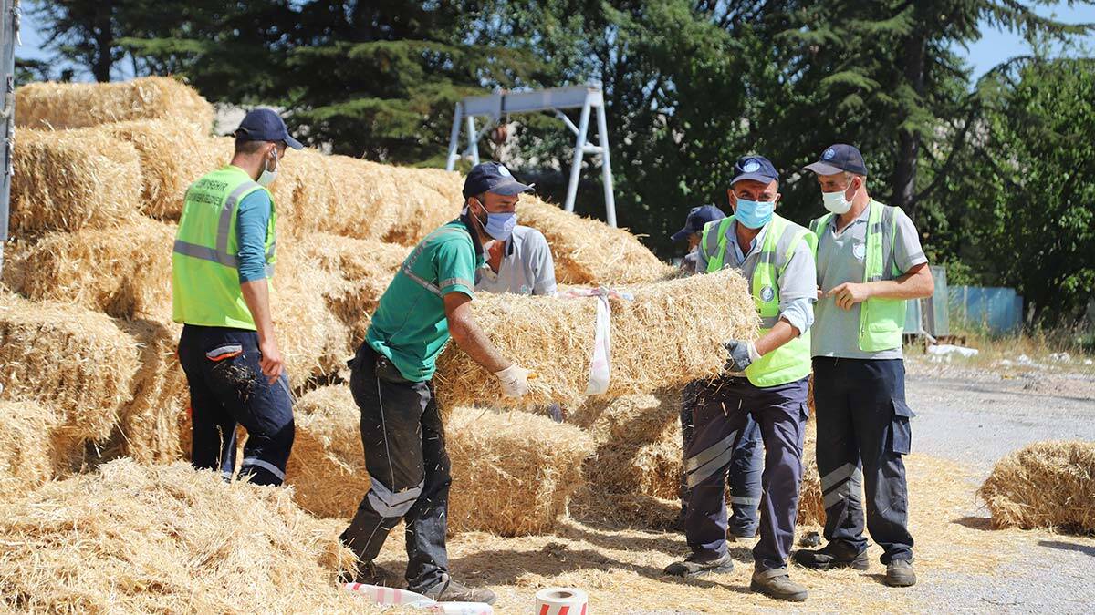 Yangın bölgelerine Eskişehir'den yem desteği