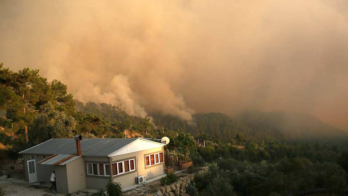 Yangın bölgelerine 62,5 milyon TL nakdi yardım