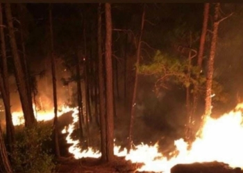 Yangın bölgesindeki sigortalılara prim borcu açıklaması