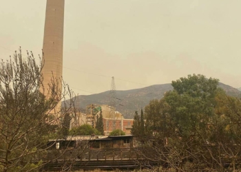 Yangın sıçrayan Termik Santral şirketi açıklama yaptı