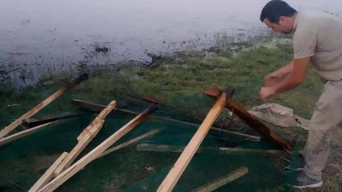 Yasa dışı ördek avı kafesleri imha edildi_