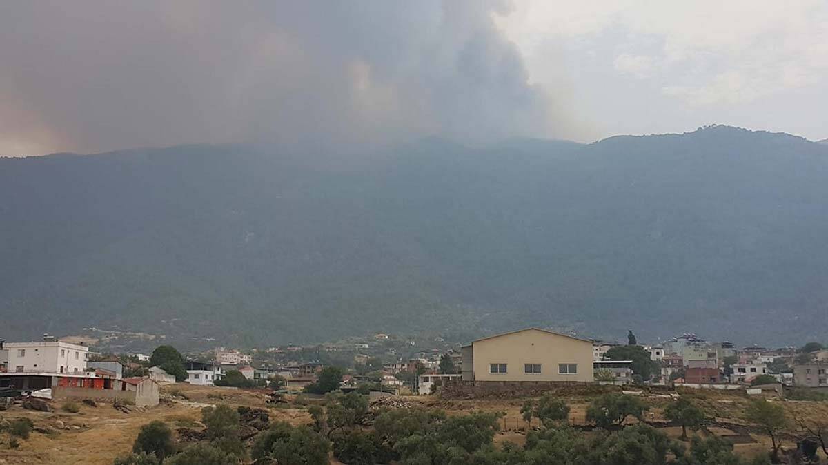 Yatağan'daki yangın Çine'ye sıçradı