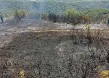 Zonguldak’ta 1 dönüm orman alanı yandı_