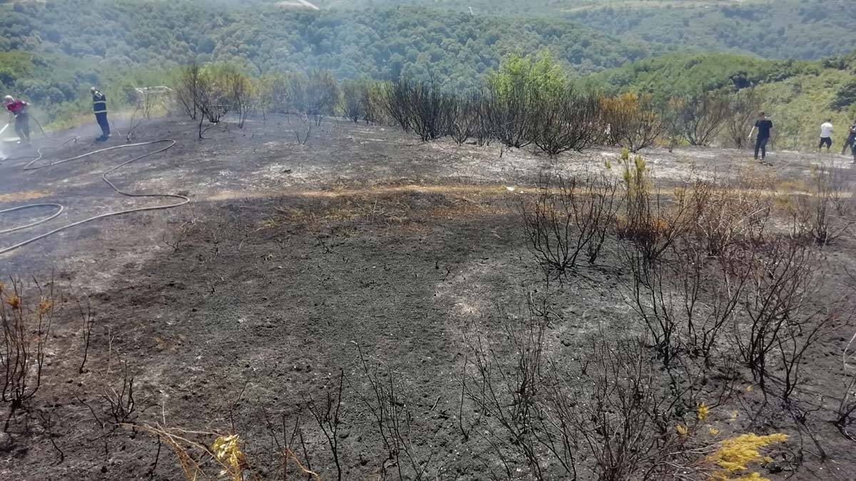 Zonguldak’ta 1 dönüm orman alanı yandı_