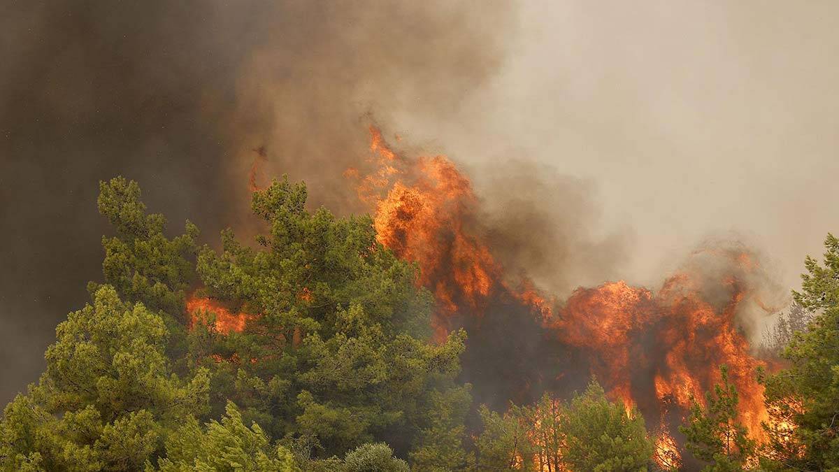 Yangınları çaresizlik içinde izliyoruz