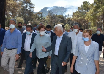 Akşener Marmaris'te yangın bölgesinde