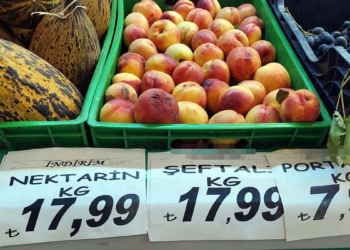 Bahçede kilosu 5 lira olan şeftali markette 18 lira