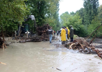 Doğa intikam almıyor insan bindiği dalı kesiyor