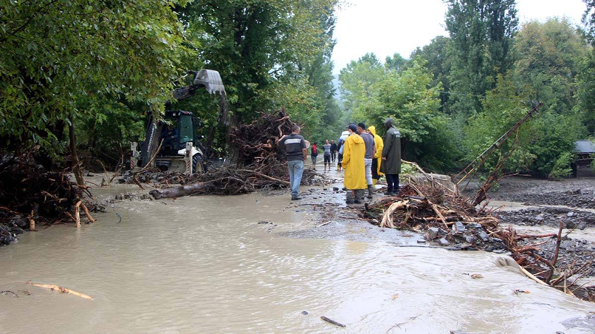Doğa intikam almıyor insan bindiği dalı kesiyor