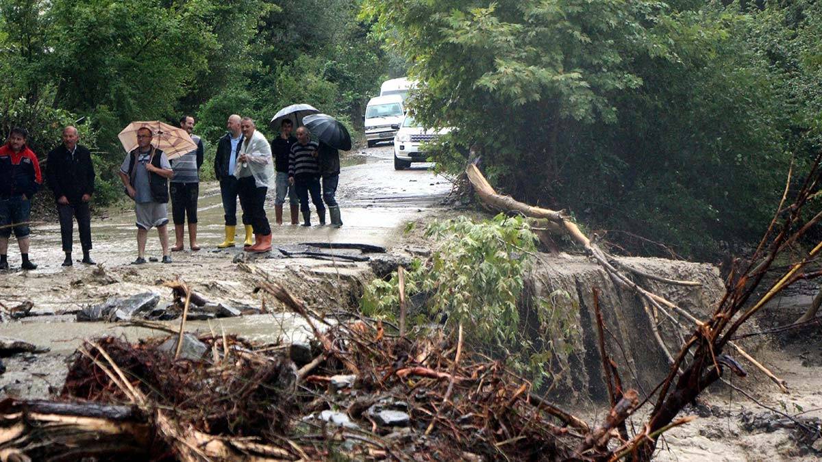 Doğa intikam almıyor insan bindiği dalı kesiyor